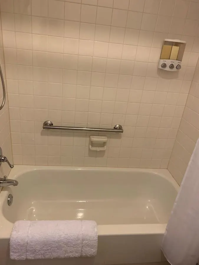 Homestay Zen Oasis Apartment Tampa