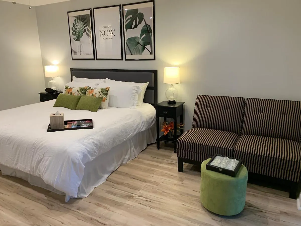 Zen Oasis Apartment Tampa 0*,  United States