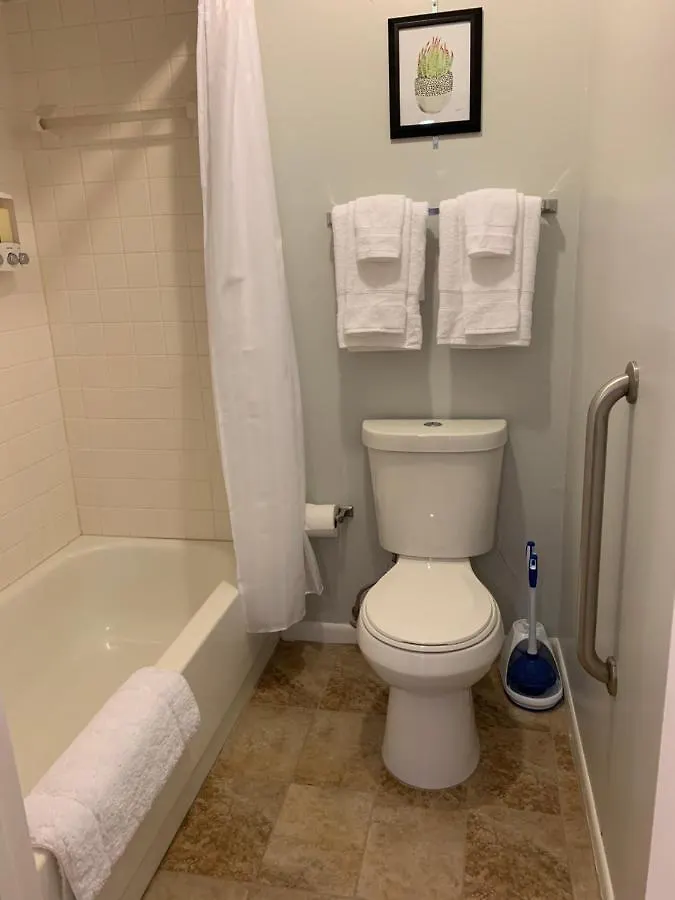 Zen Oasis Apartment Tampa United States